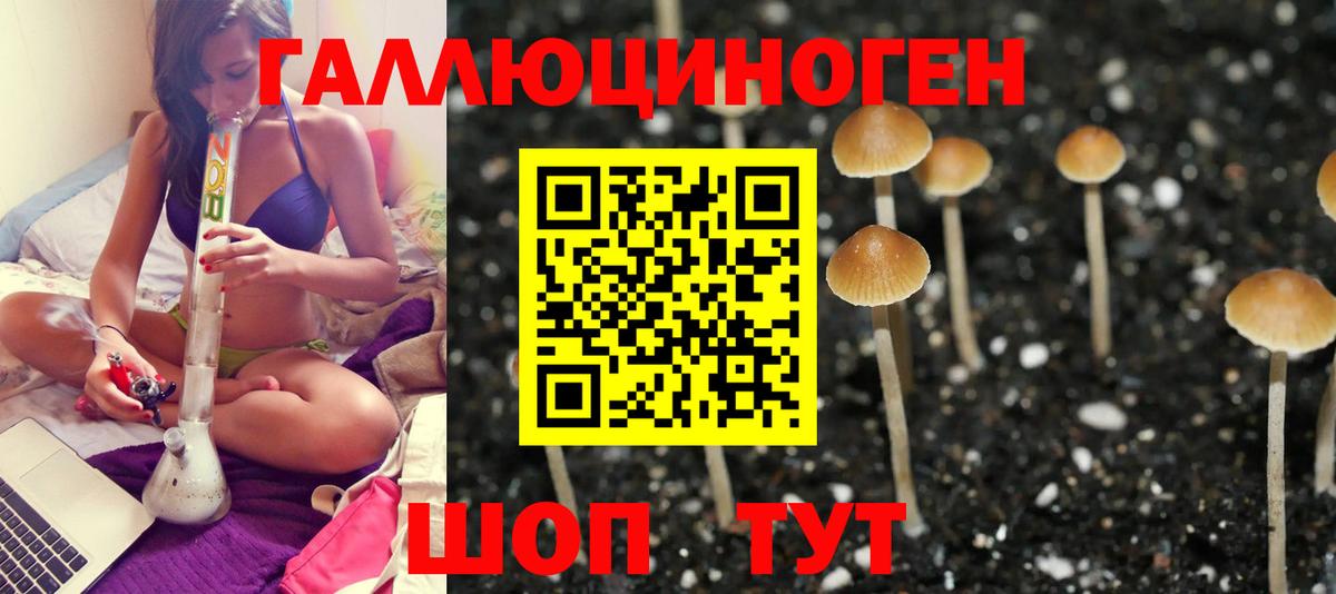 Галлюциногенные грибы мицелий Усолье-Сибирское